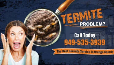 Best Termite Company in Orange County CA - Affordable Termite Control